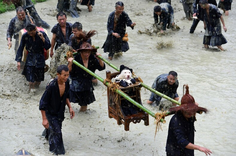 Праздник «ношения собак» в китайской деревне Цзяобан: почести или издевательство над животными?