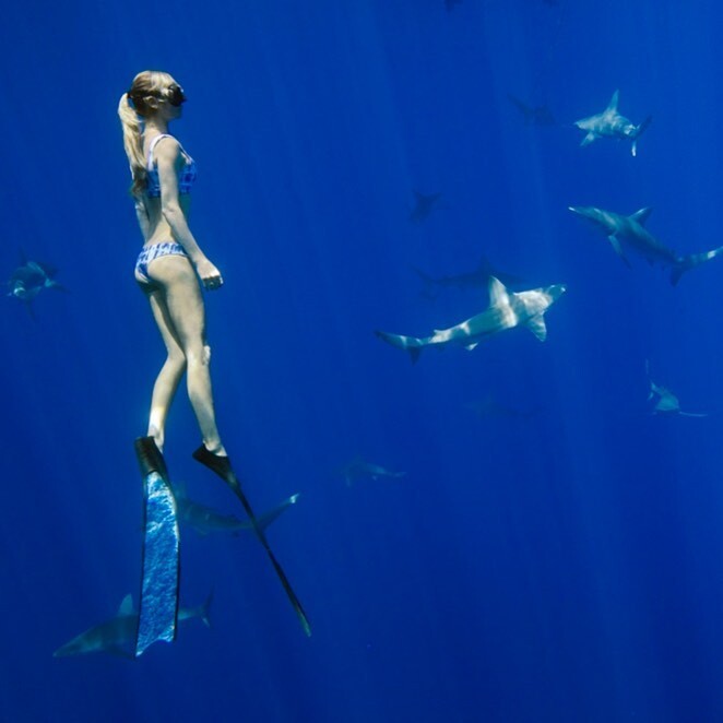 Красавица в бикини спасает акул от людей.