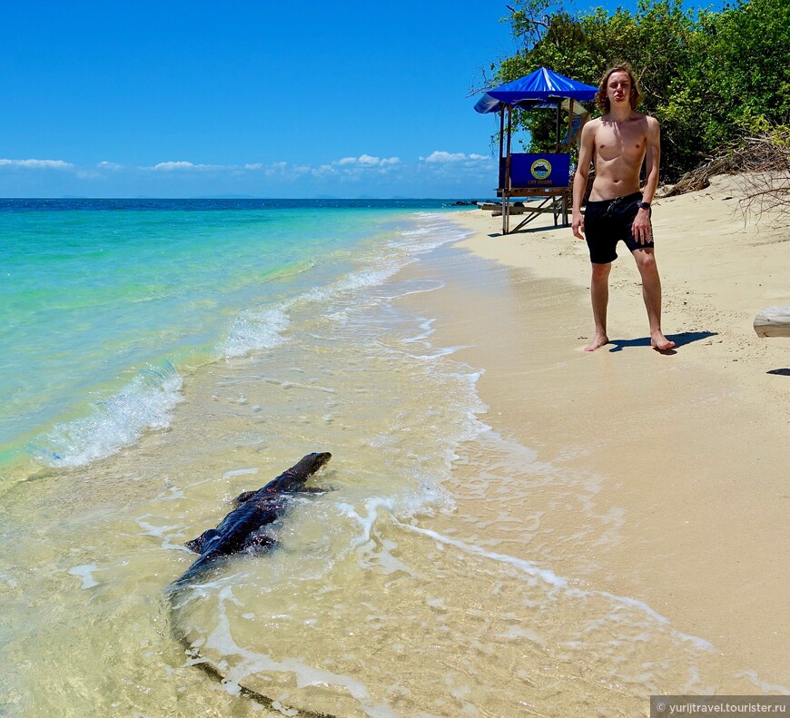 Селинган — остров черепах на море Сулу