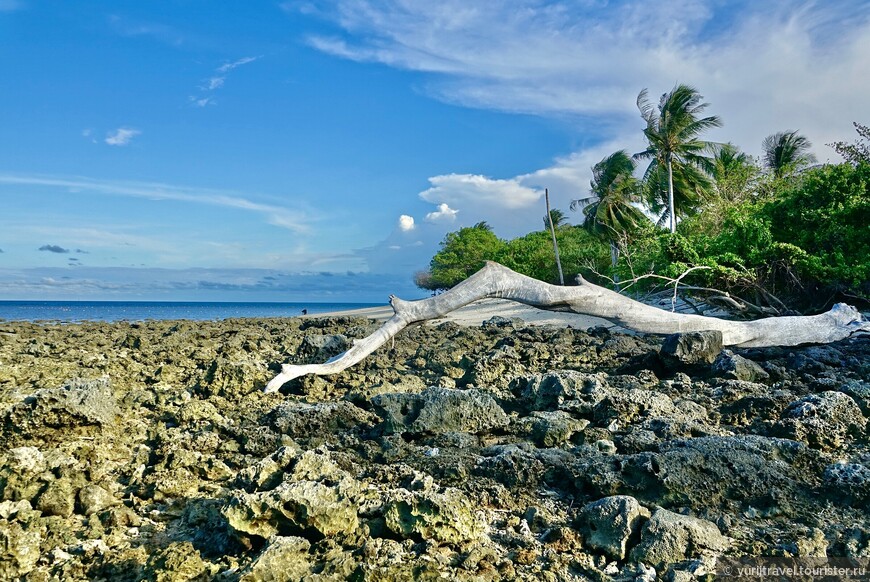 Селинган — остров черепах на море Сулу