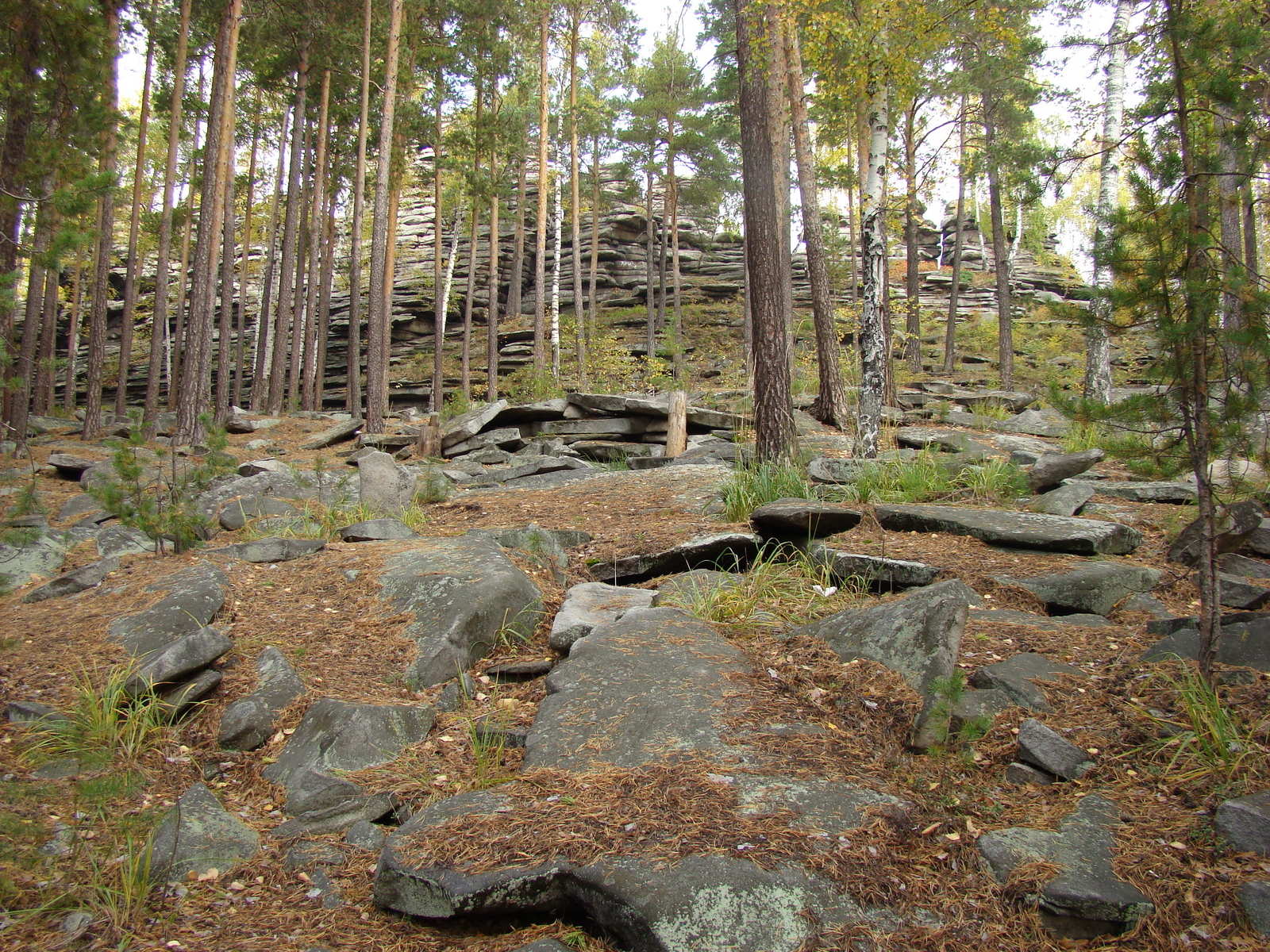 Барсова гора
