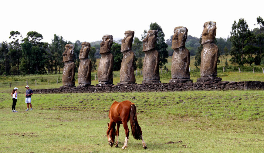 Фото статуй моаи на плато Аху Акиви