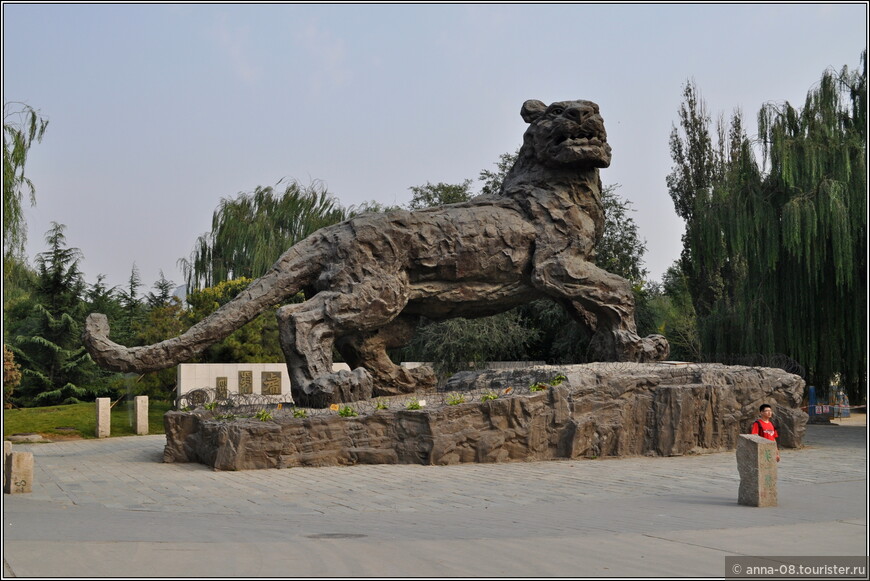 Неоднозначный пекинский зоопарк