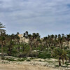 Бейт Хагла и финиковая плантация