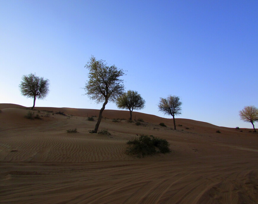 ОАЭ. Рас-эль-Хайма. Оазис в пустыне (4-14 марта 2019), Часть 2