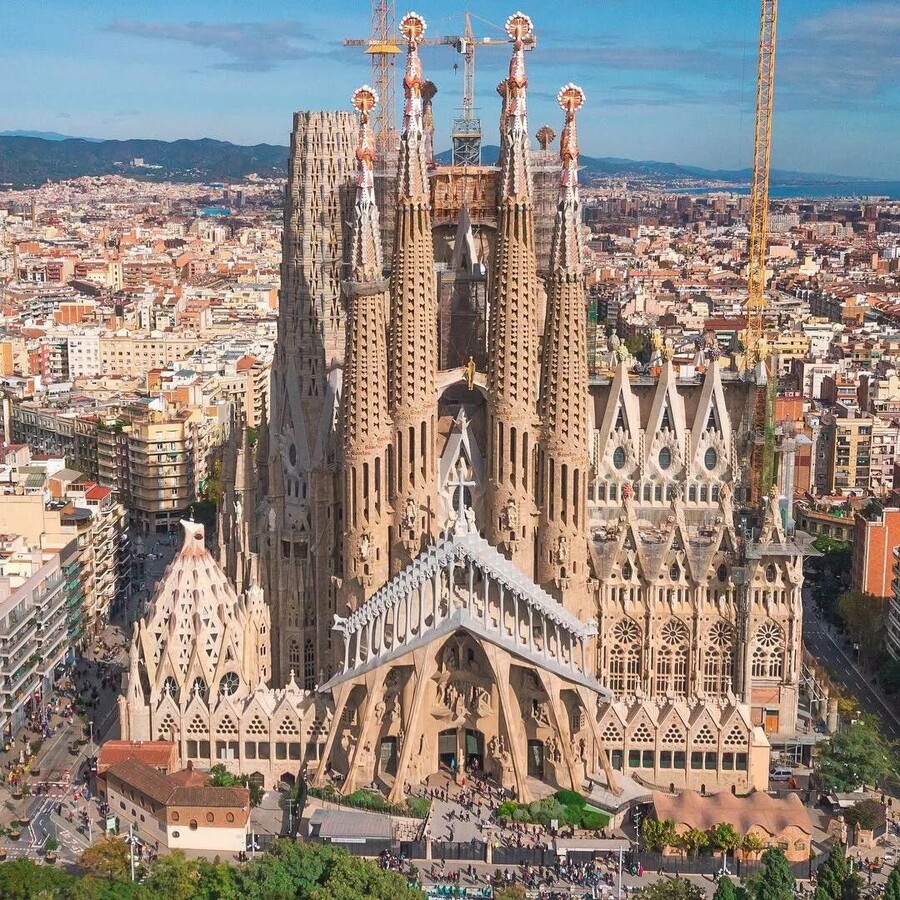 Барселона собор фамилия