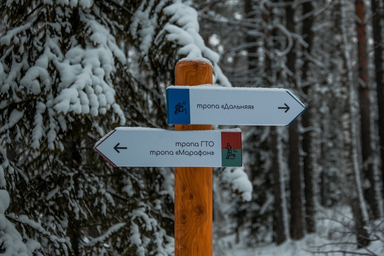 Гремячая грива карта троп