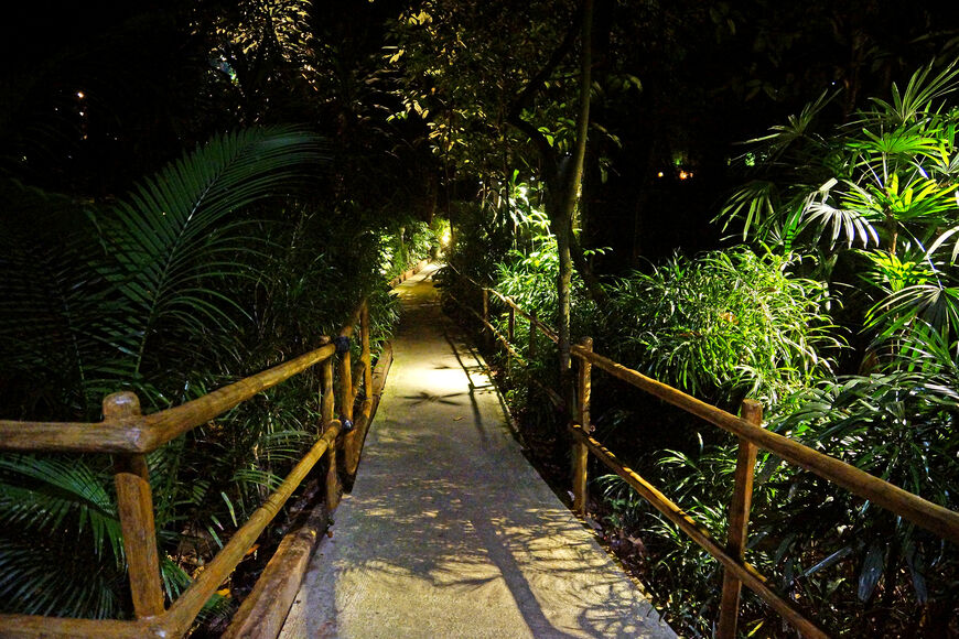 Парк «Ночное сафари»