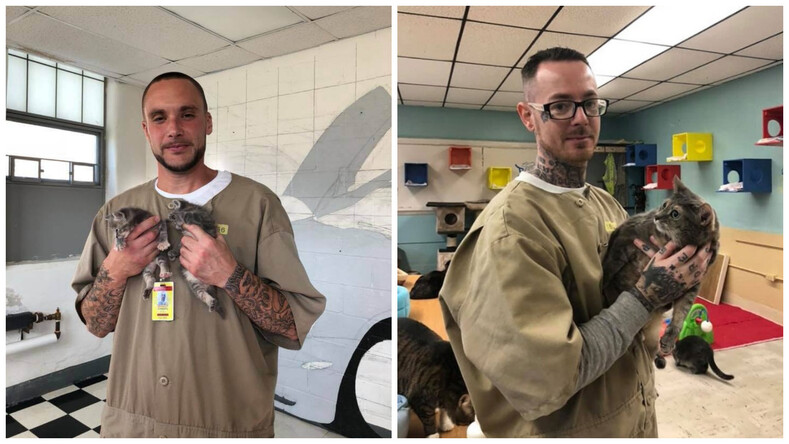 Котики и заключенные: фото из приюта, где преступники проходят кототерапию и становятся добрее