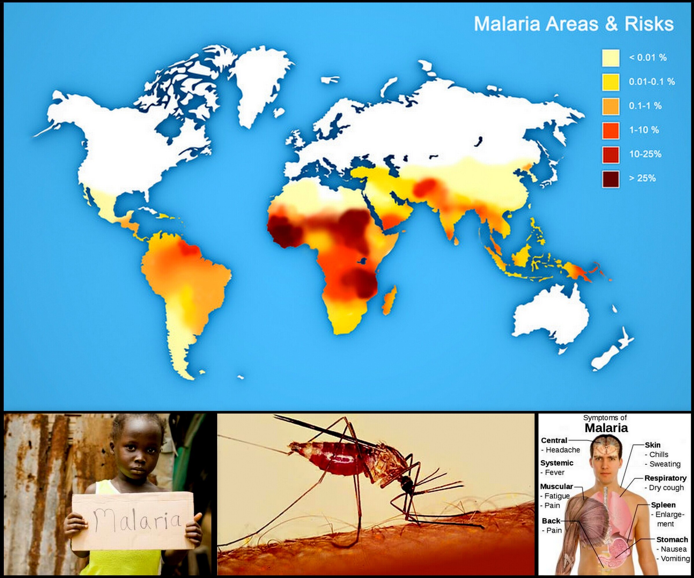 Распространение малярии
