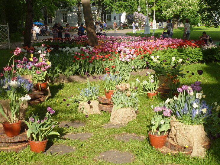 Фестиваль тюльпанов в парке на Елагином острове