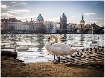 Чехия готовится открыть границы для туристов