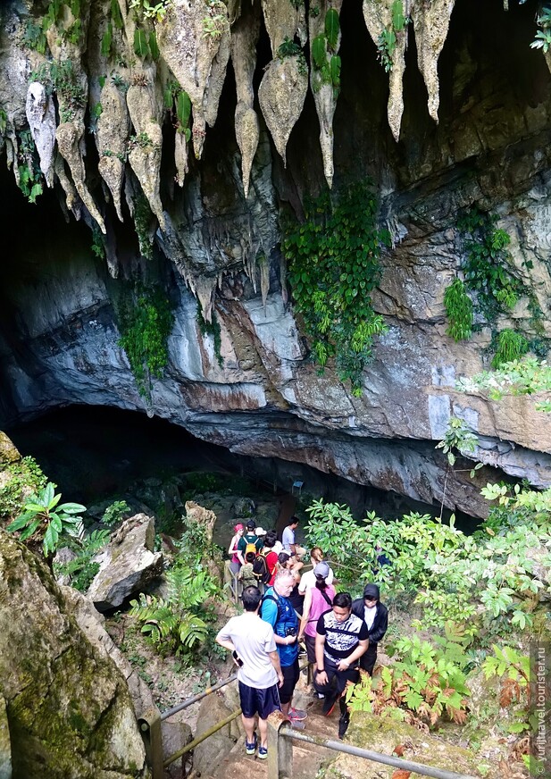 Борнео. Пещерный комплекс Мулу