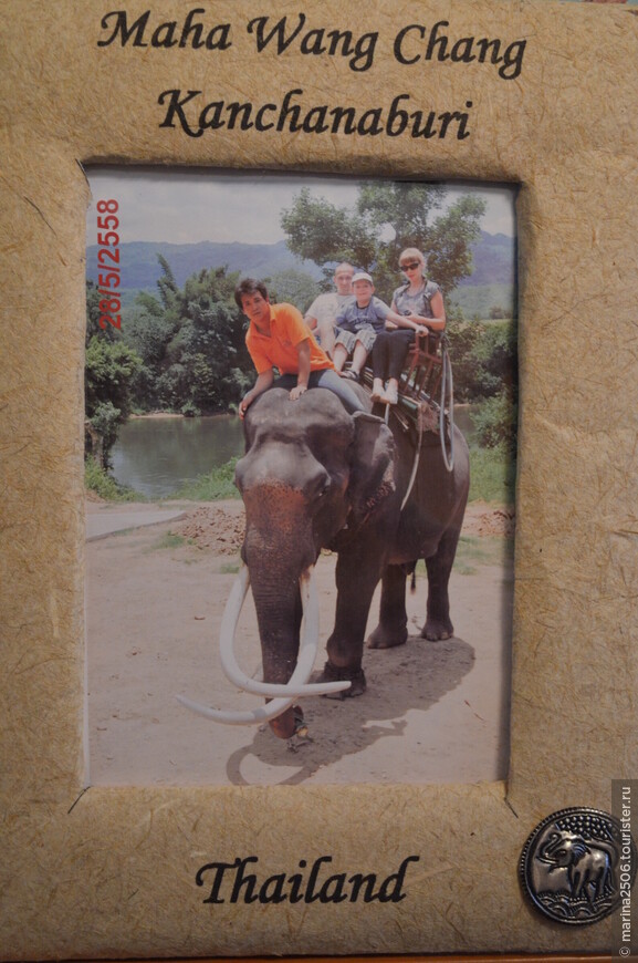 По джунглям Тайланда верхом на слоне или стоит ли ехать на реку Квай