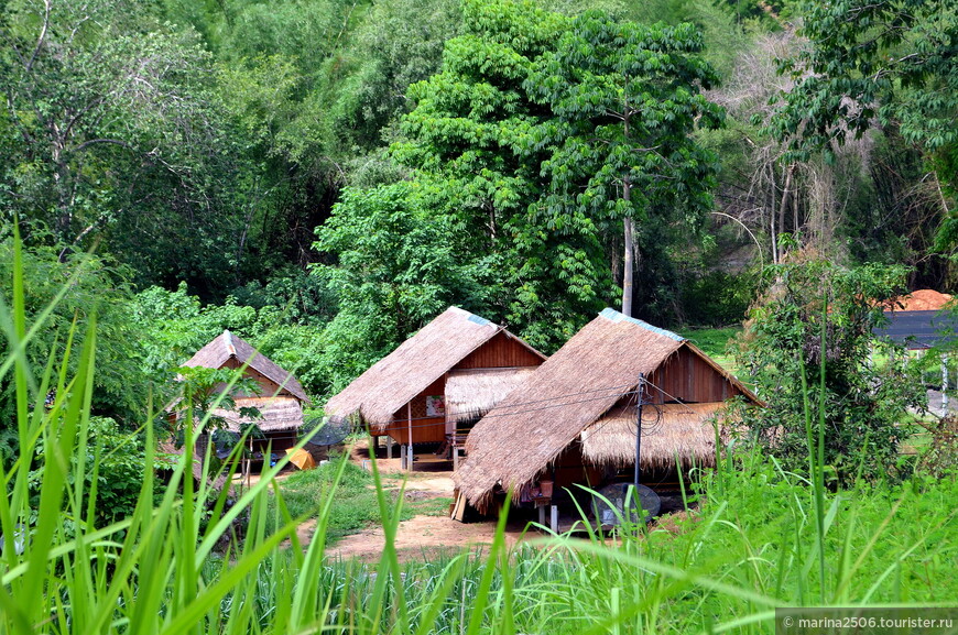 По джунглям Тайланда верхом на слоне или стоит ли ехать на реку Квай