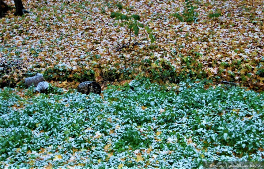 Черемшаны. Сказка осеннего леса в красках 
