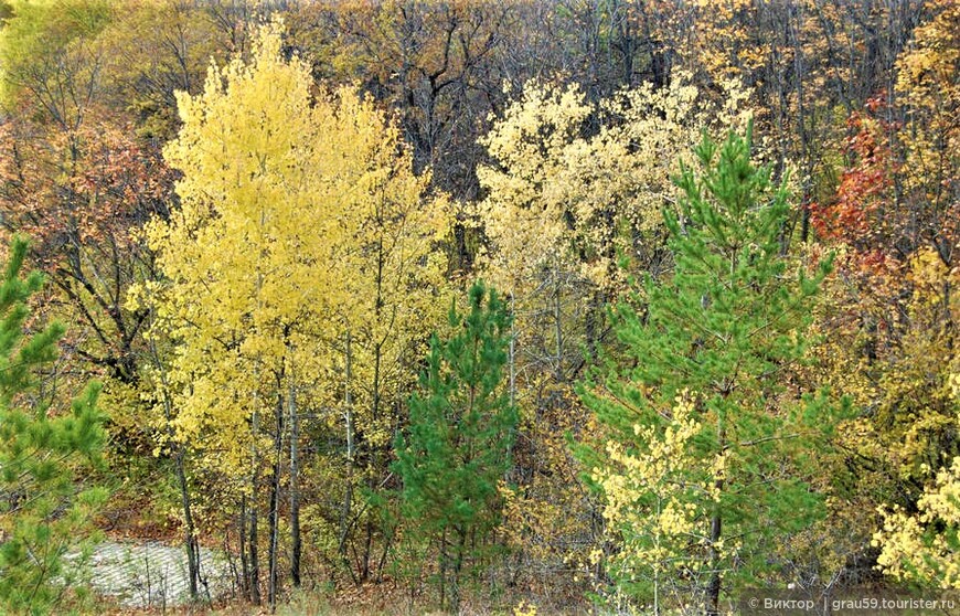 Черемшаны. Сказка осеннего леса в красках 