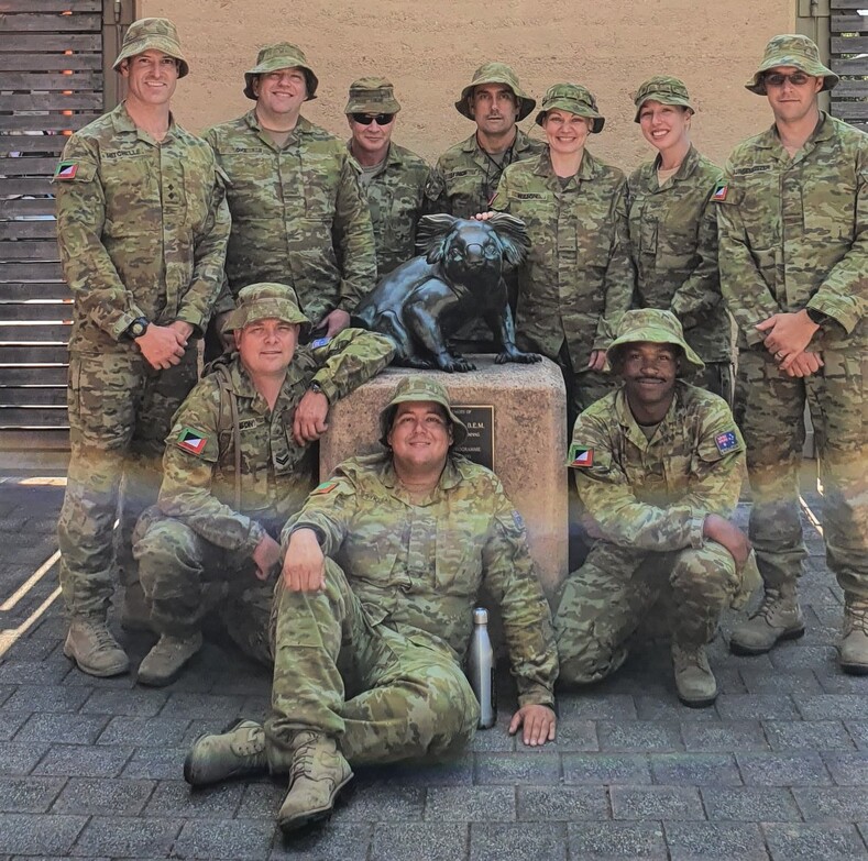 Солдаты спасают и лечат коал, пострадавших от лесных пожаров: невероятно милые фото