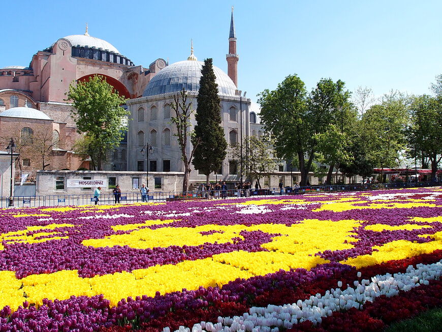 Тюльпанные клумбы на площади Султанахмет