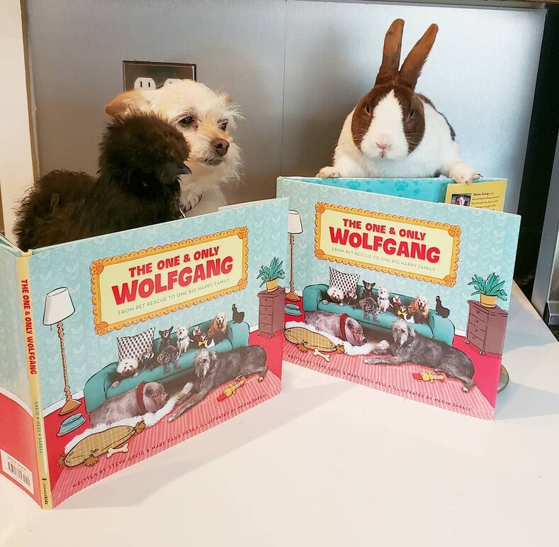 Книга Стива «The One and Only Wolfgang: From pet rescue to one big happy family»
