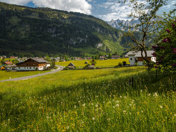 Австрия готовится принимать туристов из стран с благоприятной эпидемиологической обстановкой