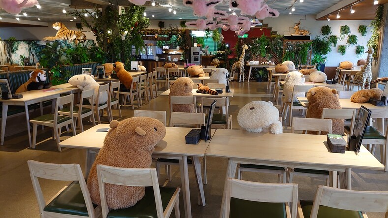 Как милые плюшевые капибары помогают соблюдать дистанцию в японском кафе