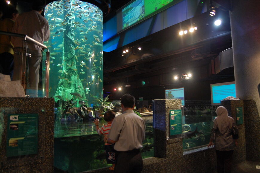 Каждый аквариум здесь уникальный и интересный 