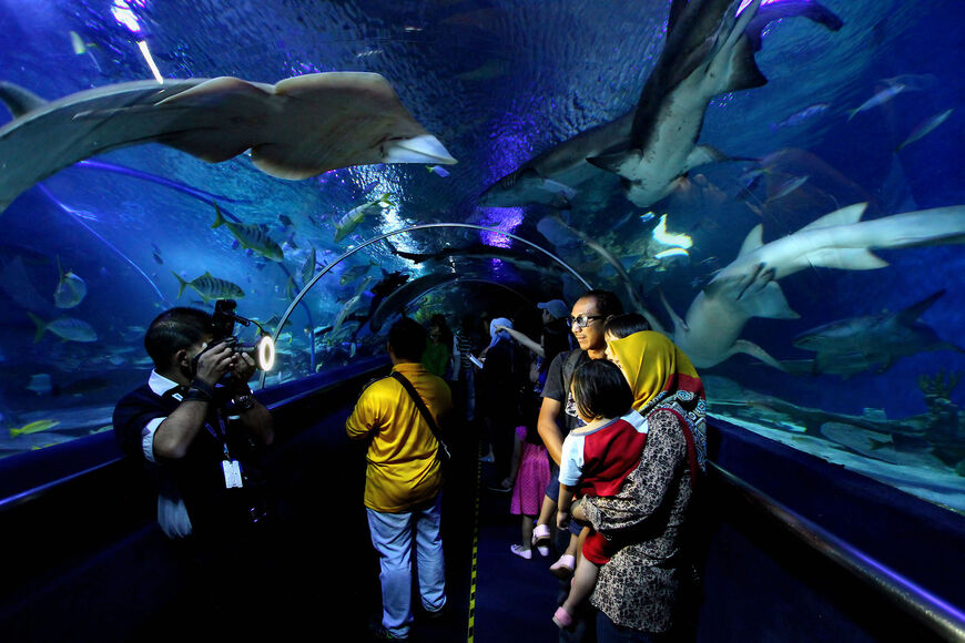 Главная достопримечательность океанариума — 90-метровый стеклянный туннель