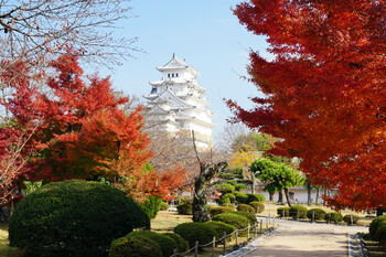 Туристы получат до 185 долларов в день во время визита в Японию
