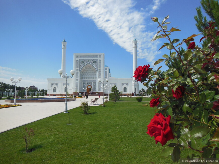 Мои узбекские каникулы