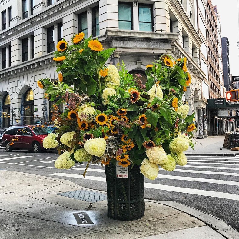 На улицах Нью-Йорка появляются «цветочные вспышки»
