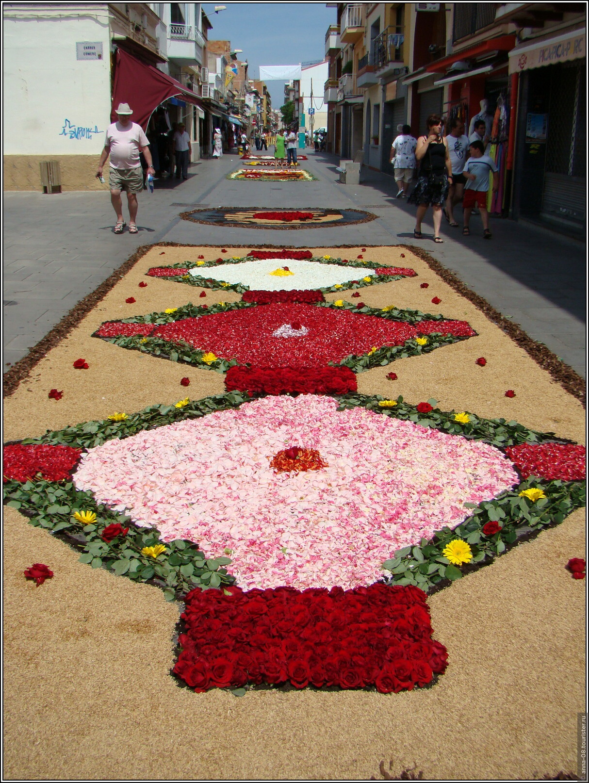 Eccie Corpus Christi