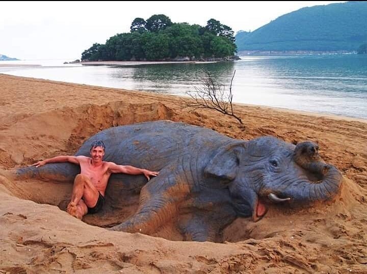 Они как живые: мужчина делает невероятно реалистичные скульптуры животных из песка
