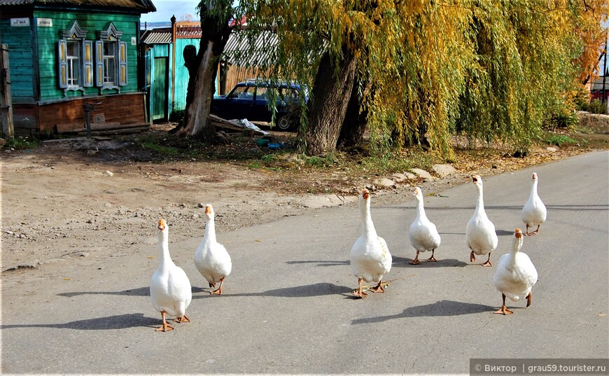 На высоком холме 