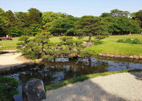 Пошла смотреть на чудо: сад Коракуэн в Окаяме, а попала в Третьяковку!