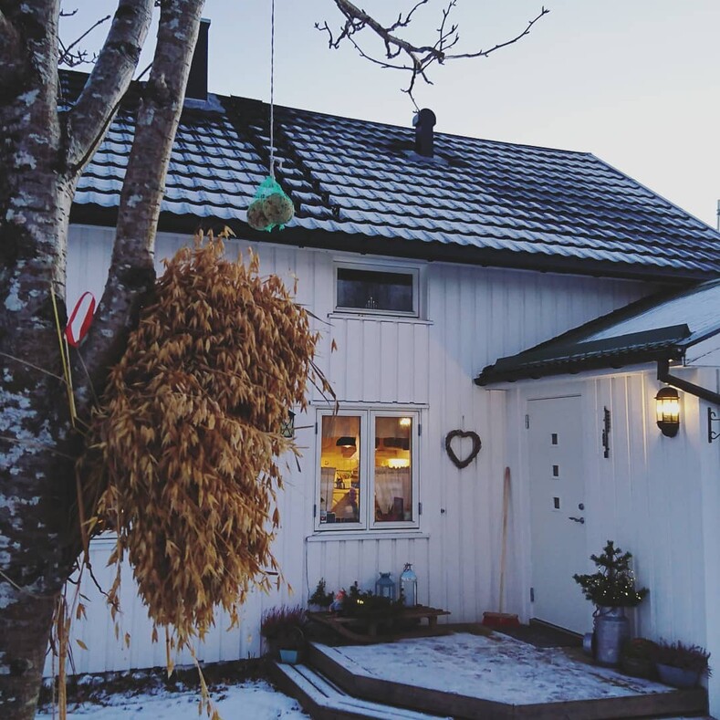 Норвежская семья делала ремонт в доме и нашла могилу викингов