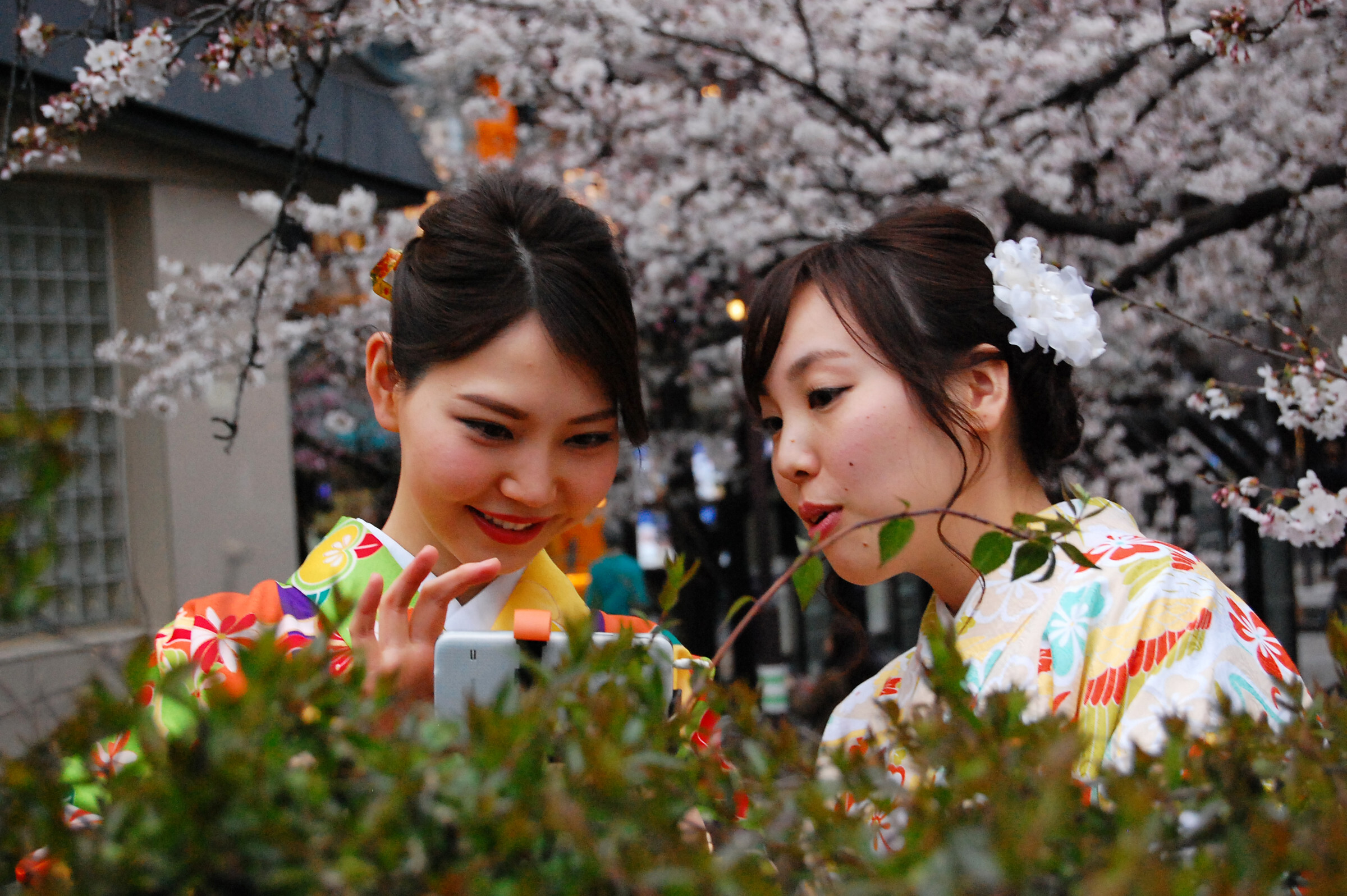 Что любят Японские девушки в мужчинах | Мужское и Женское | Дзен