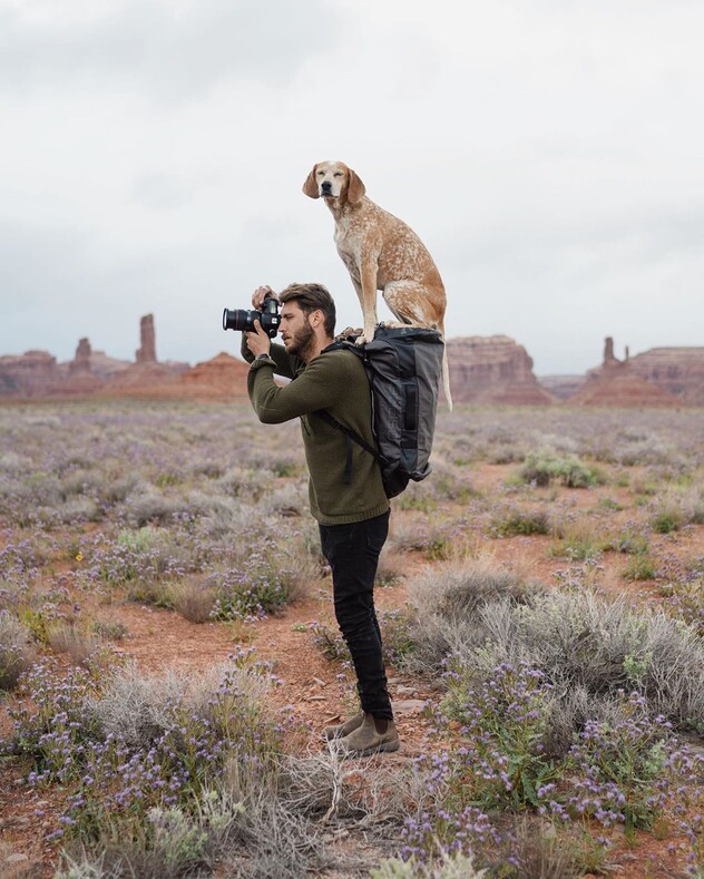 Собака-путешественница: вдохновляющие фото самого везучего пса на свете