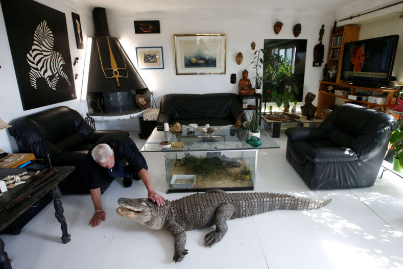 Мужчина поселил у себя дома 400 змей, ящериц, аллигаторов и других рептилий (фото не самых привлекательных «питомцев»)