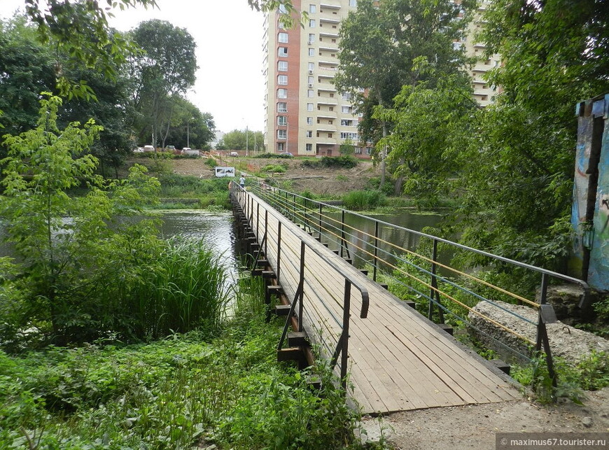 Подмосковный городок, липы жёлтые в рядок