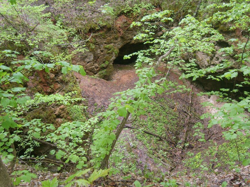Ичалковский бор и пещеры