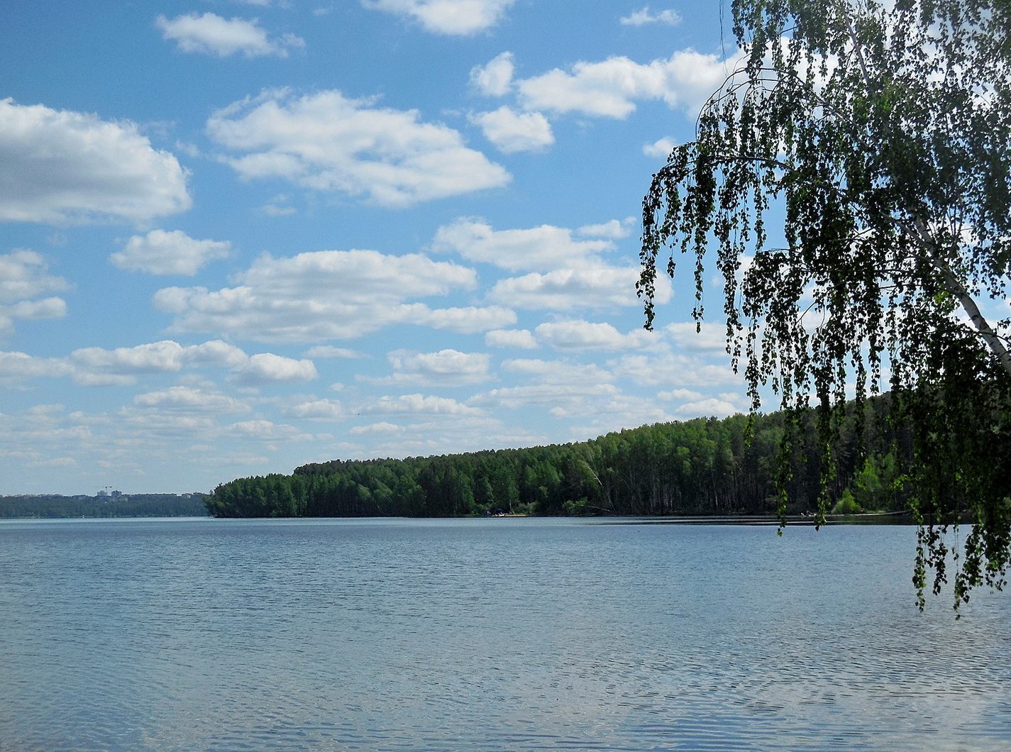 рыбалка на белоярском водохранилище свердловская область