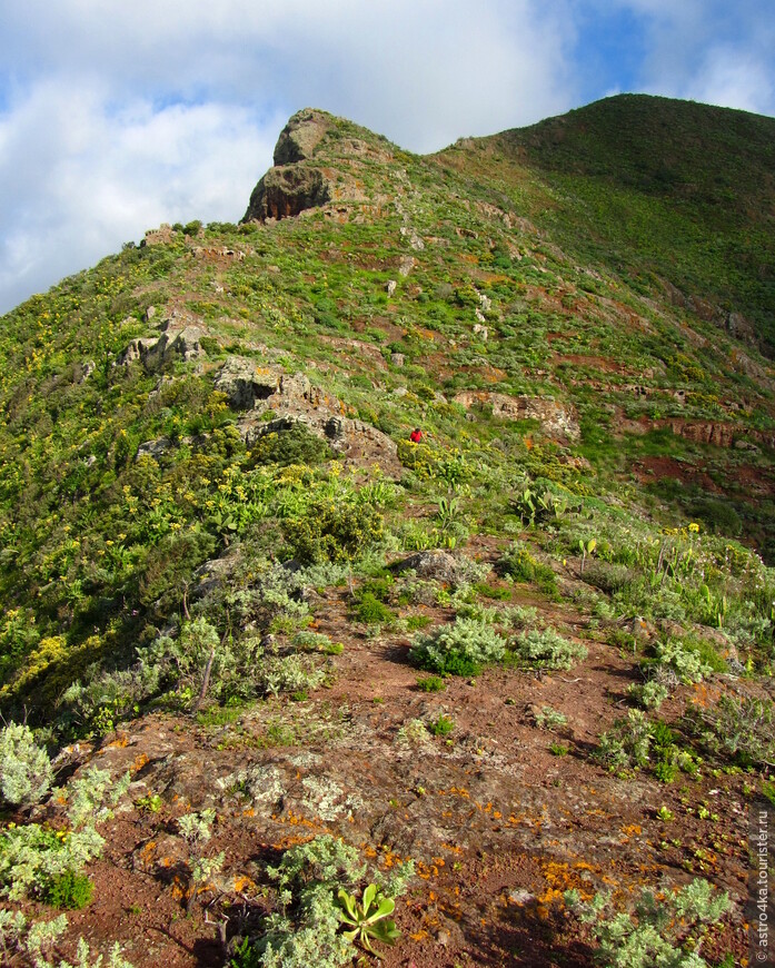 Далеко вверху осталась скала, на которой сидела, за ней едва виден мирадор на склоне горы и маленькой красной точкой Вальдемар, обходящий высокие обрывы.