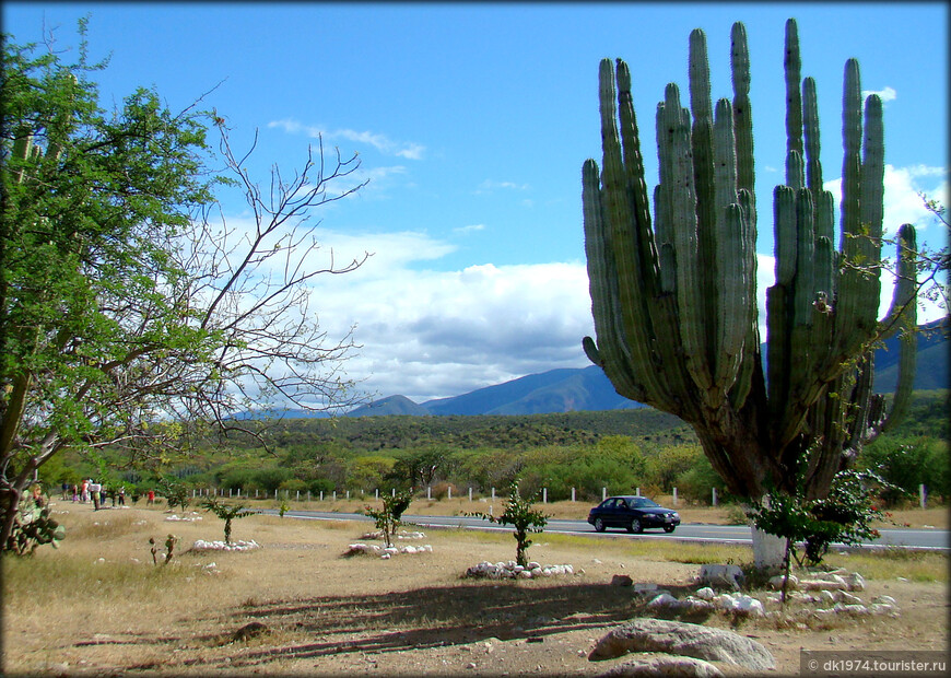 Большое путешествие по Мексике ч.3 — Попокатепетль, Пуэбла и кактусы