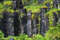 Лавовые черные колонны возле водопада Свартифосс
