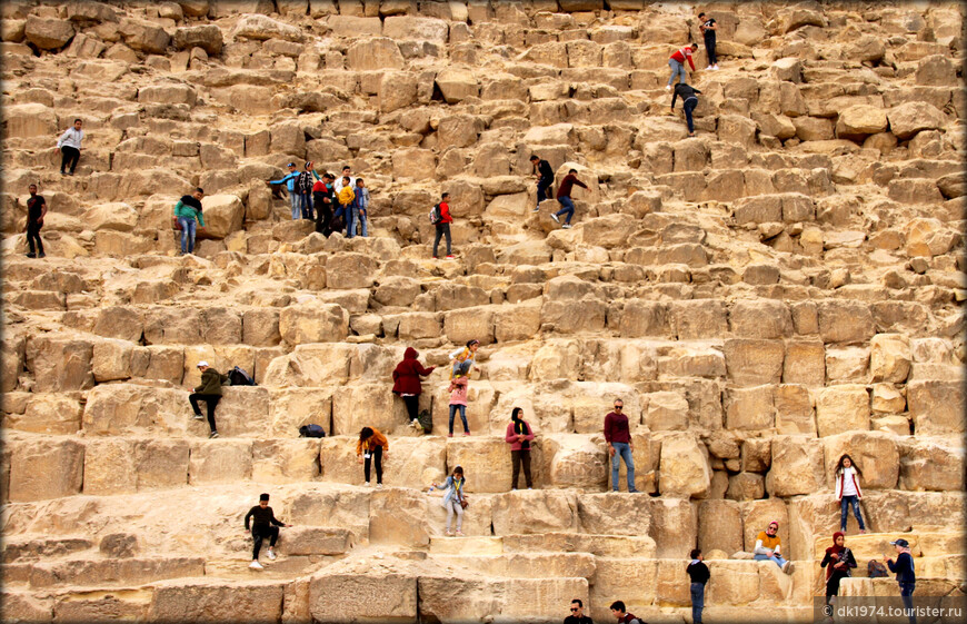 Открытие Каира, ч.1 — Гиза, пирамида Джосера и Серапеум