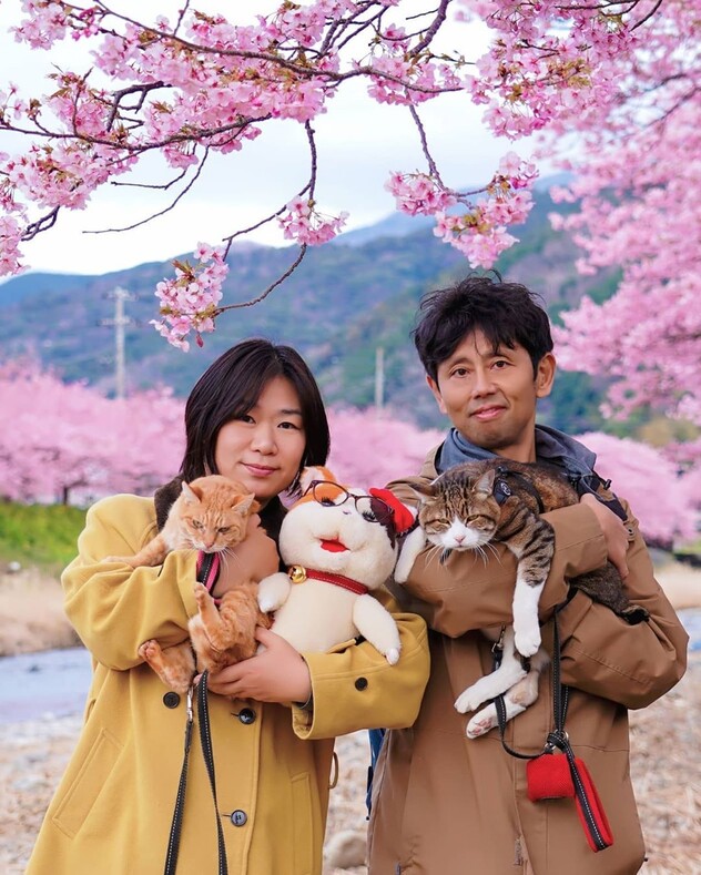 Он спас двух уличных котов и стал путешествовать с ними по Японии. За 9 лет они побывали в самых красивых уголках страны
