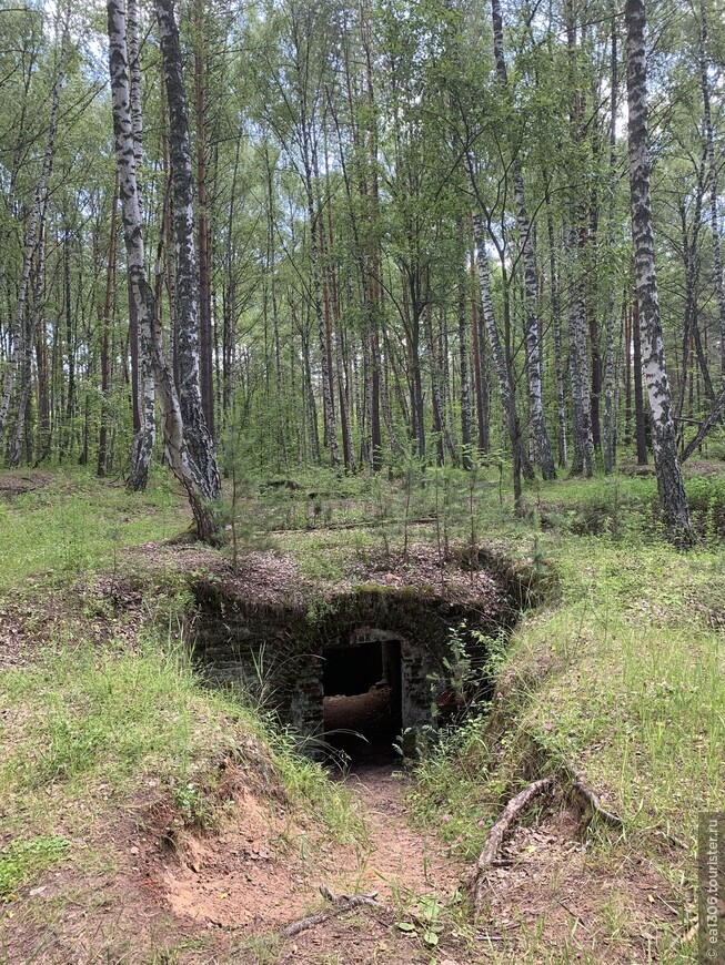 Идея поездки на 2 дня: Окский заповедник-Рязанский Кремль-Константиново