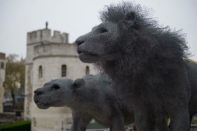 13 супер реалистичных скульптур из обыкновенной проволоки в зверинце Лондонского Тауэра