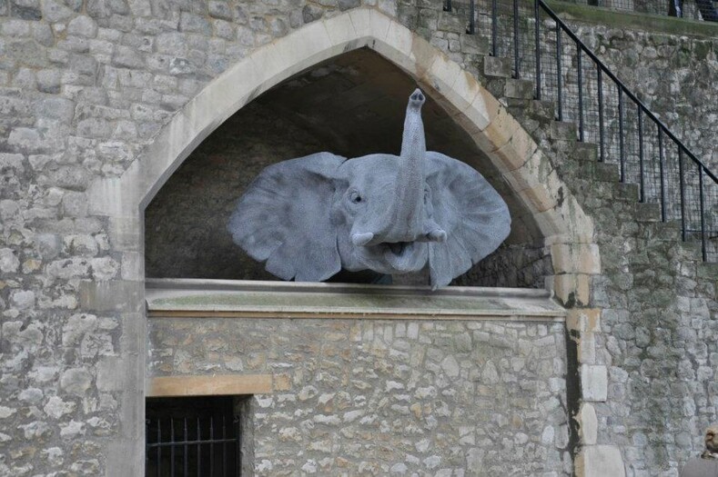13 супер реалистичных скульптур из обыкновенной проволоки в зверинце Лондонского Тауэра